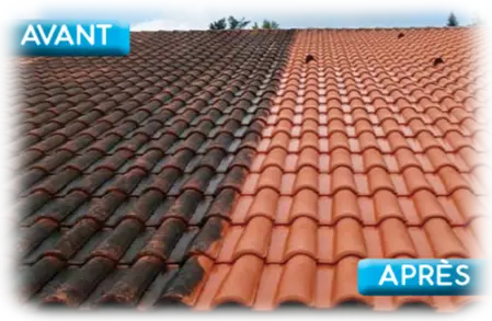 Nettoyage de toiture démoussage à Barbezieux Barret 16300